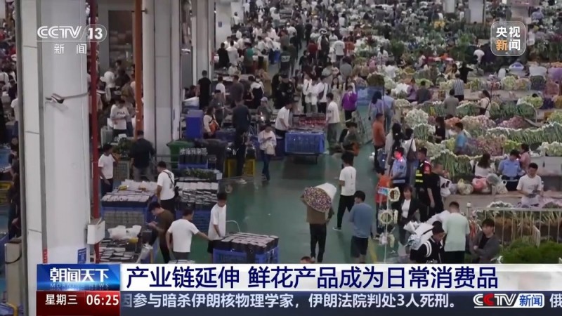 全年销售额将破2000亿 我国卖出的花花可绕地球多少圈？