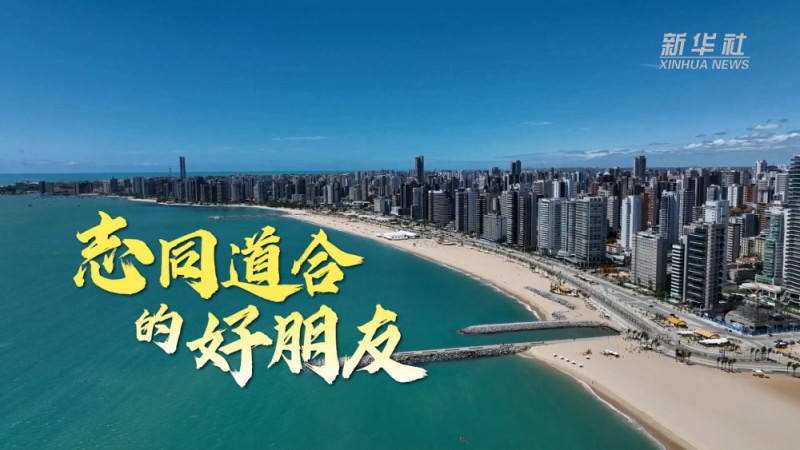 微视频丨志同道合的好朋友