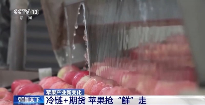 世界第一的中国苹果 来看看它们的“证件照”