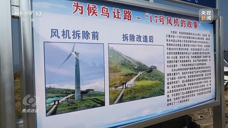 焦点访谈丨他曾为驱赶候鸟损失了三节指骨  如今为何加入了护飞队？