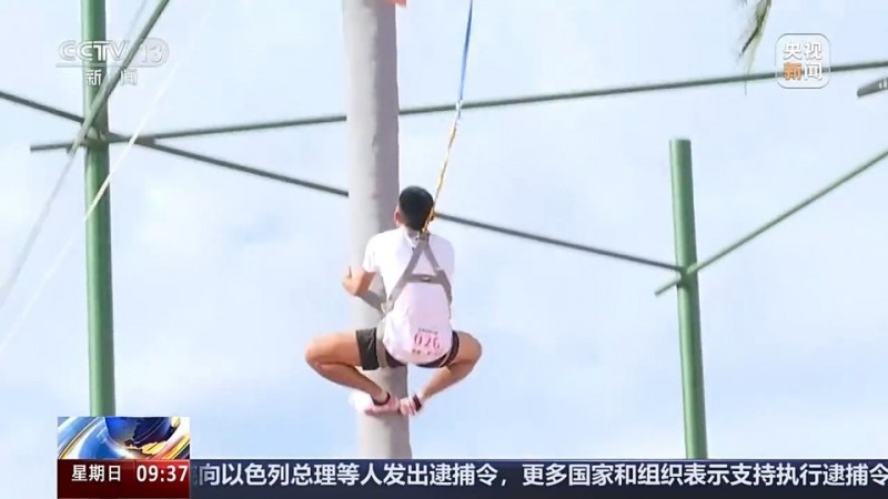 爬树也有比赛了？零距离看运动员争战“椰树之巅”