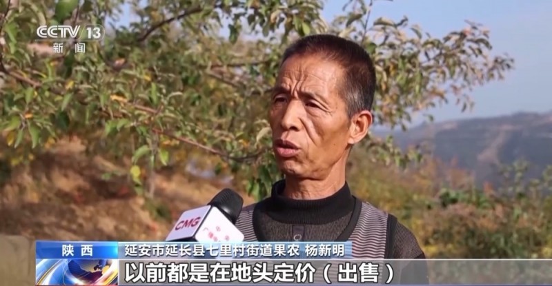 世界第一的中国苹果 来看看它们的“证件照”