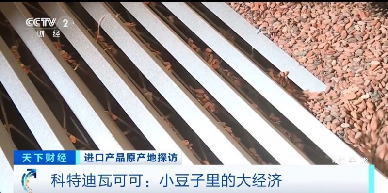 原产地好物直达！“可可大国、香草王国”：我家好物来进博→