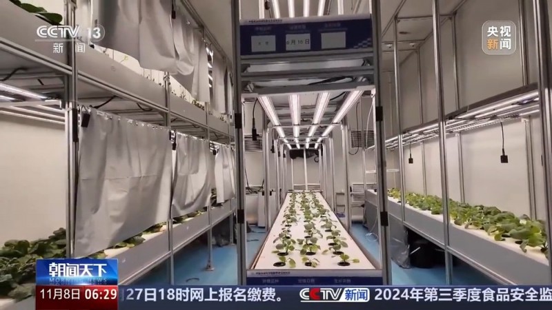 植物工厂长啥样？沙漠里能种水稻？揭秘种菜“黑科技”
