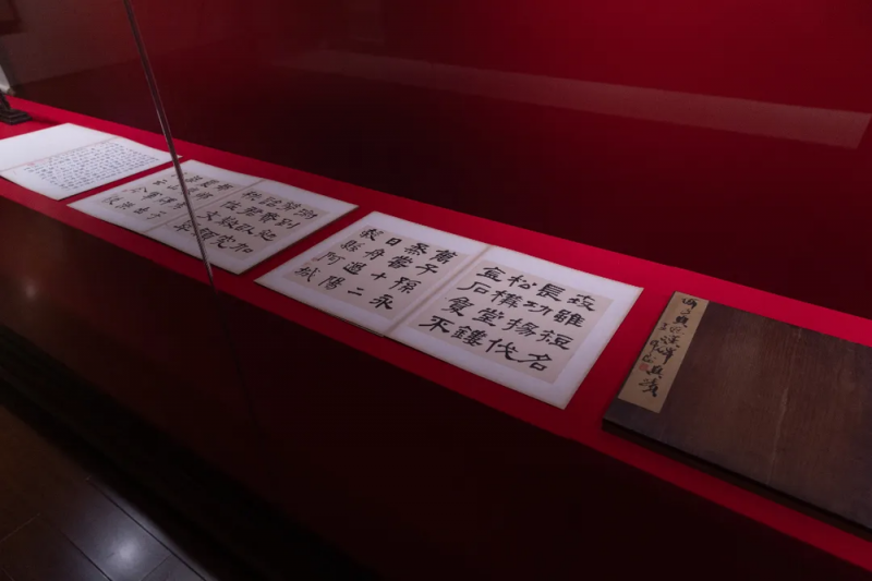 回顾  |  兰室赴甬  打造全系列文化体验