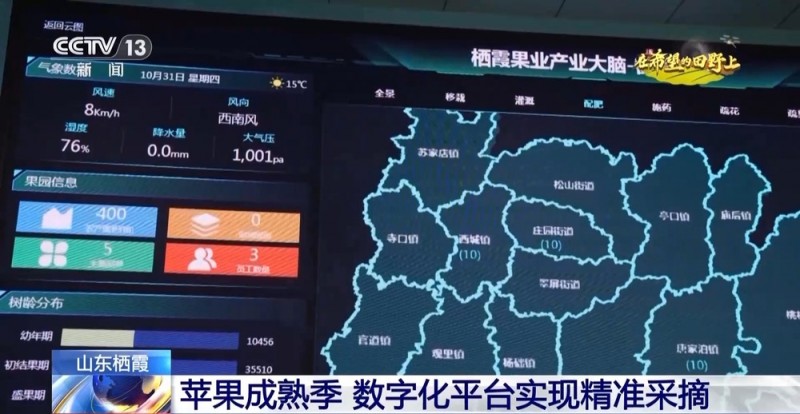 大丰收！全国多地同太空水稻一起传来丰收消息