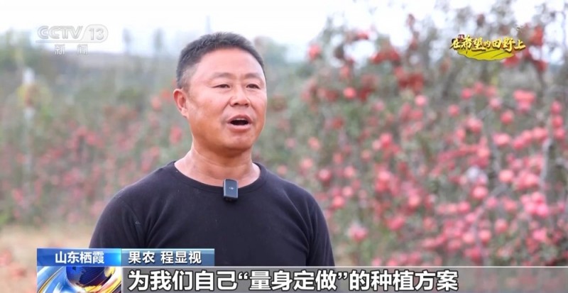 大丰收！全国多地同太空水稻一起传来丰收消息