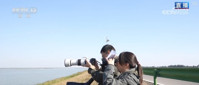 “旅行者”来做客，“美食”多样！唯美生态画卷颜值不断被“刷新”
