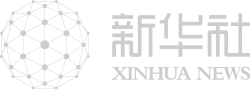 镜头连中外丨一颗油橄榄 万里同丰收