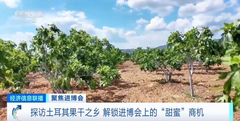 原产地好物直达！“可可大国、香草王国”：我家好物来进博→