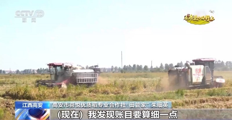 大丰收！全国多地同太空水稻一起传来丰收消息