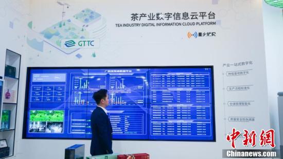 【湾区青年说】澳门青年湾区创业：数字赋能助优质农产品进军海外