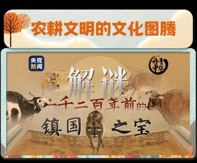 总台周看点丨热力，有！能量，足！