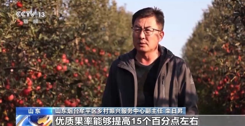世界第一的中国苹果 来看看它们的“证件照”