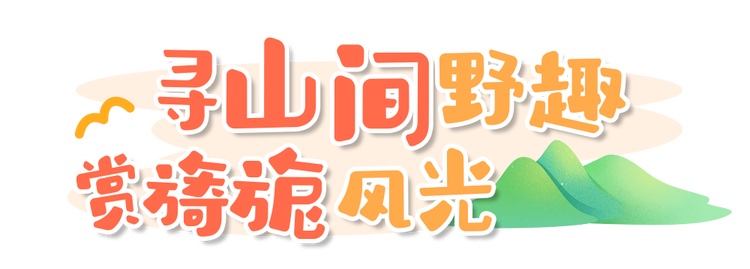总台周末看点丨诗兴大发！发一下朋友圈