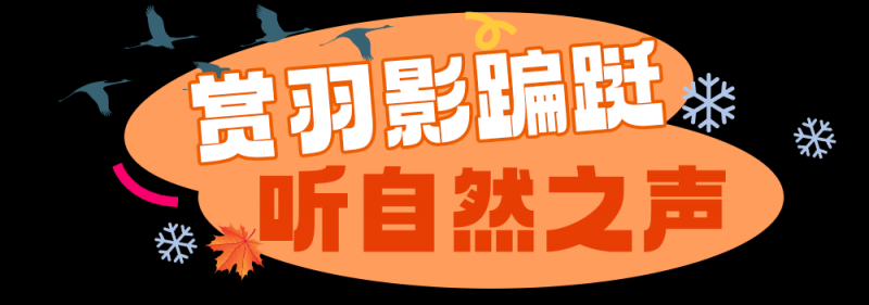 总台周末看点丨咚咚咚～冬