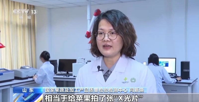 世界第一的中国苹果 来看看它们的“证件照”