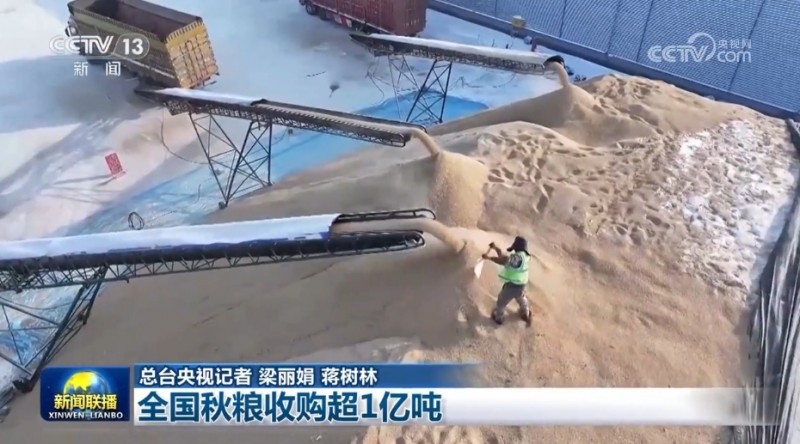 全国秋粮收购超1亿吨