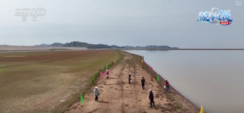 “旅行者”来做客，“美食”多样！唯美生态画卷颜值不断被“刷新”