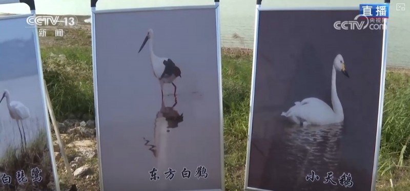 “旅行者”来做客，“美食”多样！唯美生态画卷颜值不断被“刷新”