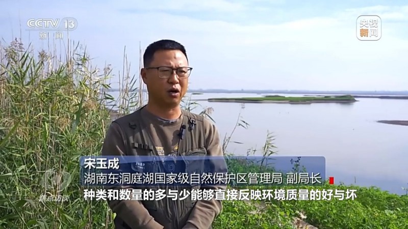焦点访谈丨他曾为驱赶候鸟损失了三节指骨  如今为何加入了护飞队？