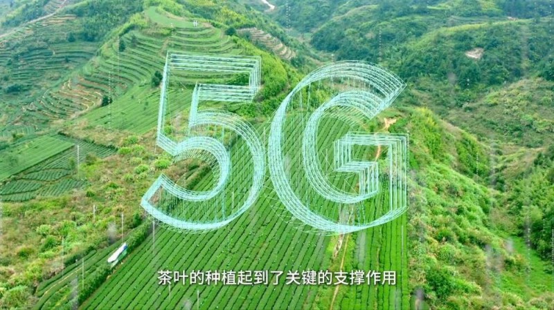新华视点 | 以“叶”执笔 绘就县域小城“富春山居图”