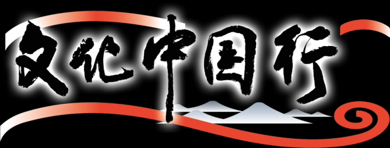 文化中国行｜同是西夏瓷，画风为何大不同？
