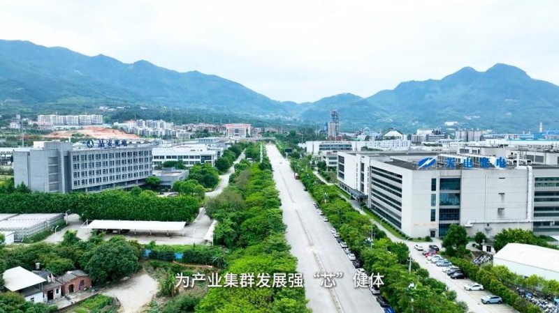 新华视点 | 以“叶”执笔 绘就县域小城“富春山居图”
