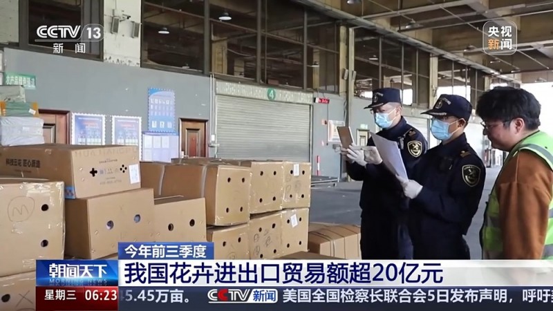 全年销售额将破2000亿 我国卖出的花花可绕地球多少圈？