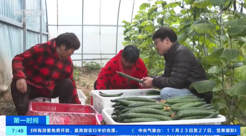 小雪节气 “菜篮子”也丰富 大棚蔬菜上市 冬笋、咸菜正当时
