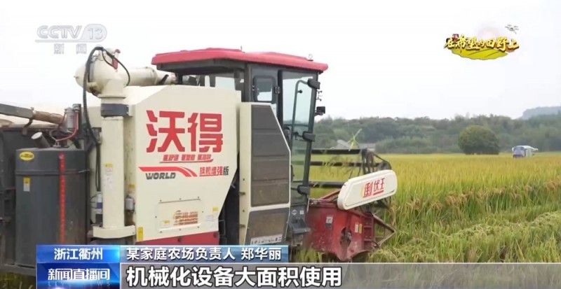 大丰收！全国多地同太空水稻一起传来丰收消息