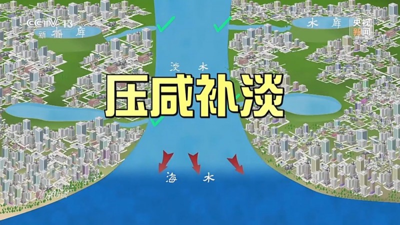 焦点访谈丨“压咸补淡”解咸潮之困 守护大湾区水安全