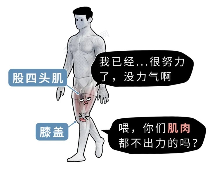 且行且珍“膝”  保护膝盖建议做好这几件事