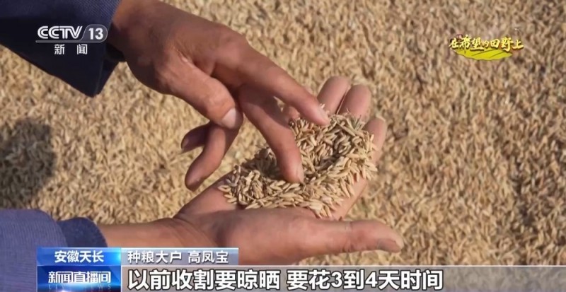 大丰收！全国多地同太空水稻一起传来丰收消息