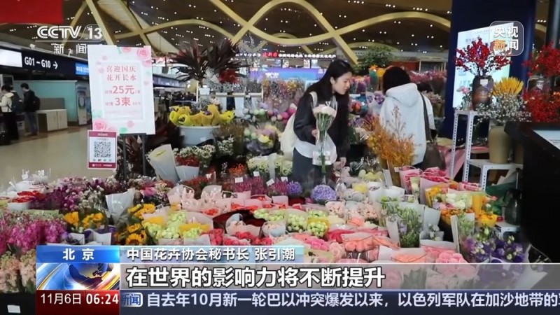 全年销售额将破2000亿 我国卖出的花花可绕地球多少圈？