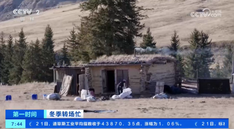 冬季转场忙 新疆伊犁河谷开启冬季转场 一起去看牧民们的转场生活