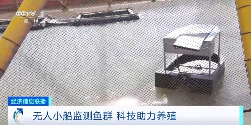 住得宽敞吃得健康！探访“乾动2号”  ，打卡大黄鱼的“深海豪宅”