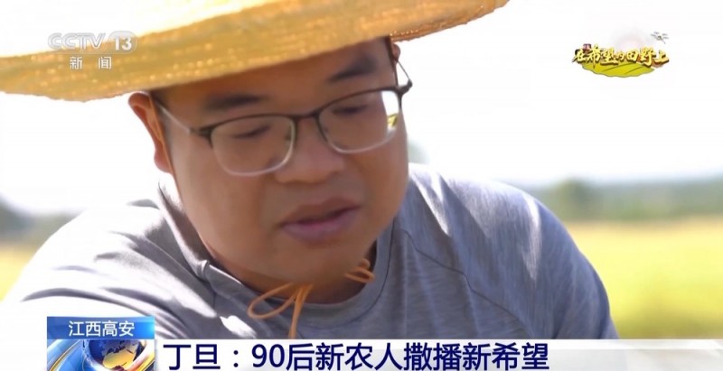 大丰收！全国多地同太空水稻一起传来丰收消息