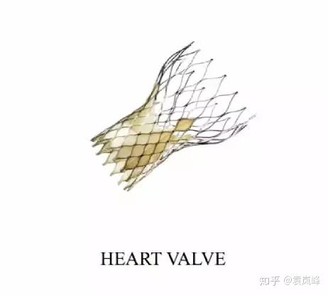 猪猪这么可爱，我们用它们制造了子弹、牛排和水泥 | 把科学带回家