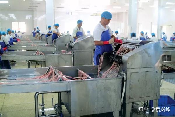 猪猪这么可爱，我们用它们制造了子弹、牛排和水泥 | 把科学带回家