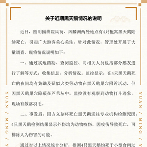 北京圆明园通报“4只黑天鹅死亡”：均为动物咬伤致死