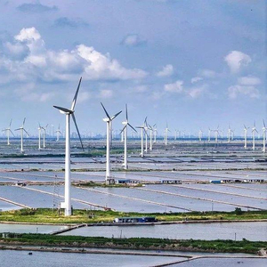 这一承诺，中国提前6年兑现