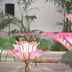 习近平向意大利总统马塔雷拉赠送嫦娥五号月壤