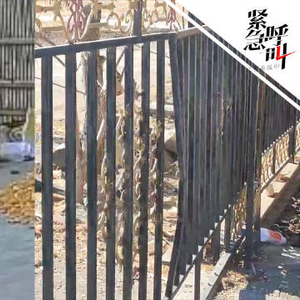 对话黑龙江虎口脱险老人：老虎就在地头 老大了！