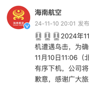 海航一航班遭遇鸟击返航