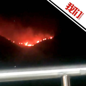 广西岑溪一地突发山火：明火形成火线猛烈燃烧 当地组织人员连夜扑救
