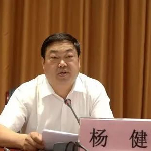 杨健杨坤被查，大理表态