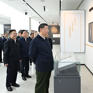 习近平在湖北考察调研