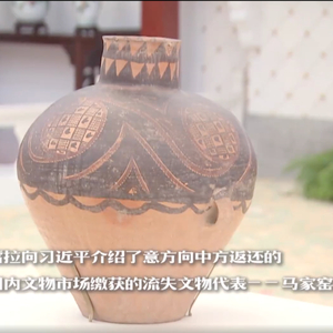“中国人民的老朋友”时隔7年再次访华，有一个特殊安排