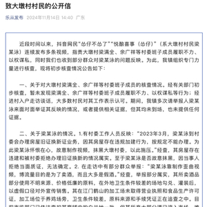 村民多次网络举报村干部，佛山一地回应：暂未发现履职问题